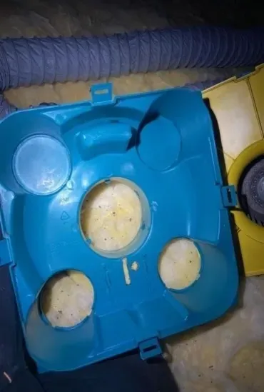 NJ Électricité après